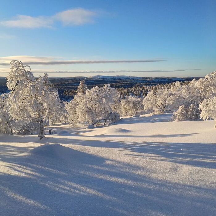 Khám phá du lịch Lapland Phần Lan mùa đông lạnh giá
