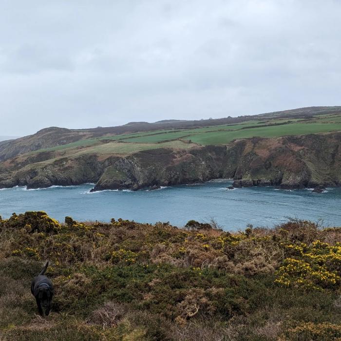 Pembrokeshire điểm du lịch Châu Âu mùa xuân 