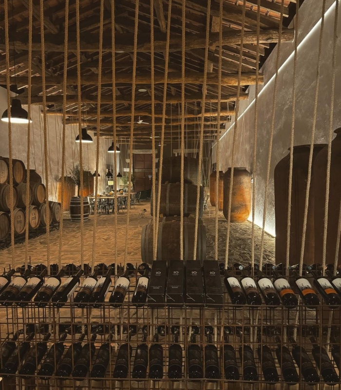 Thung lũng Douro Bồ Đào Nha - Tham quan hầm rượu vang là một cách tuyệt vời để tìm hiểu về rượu