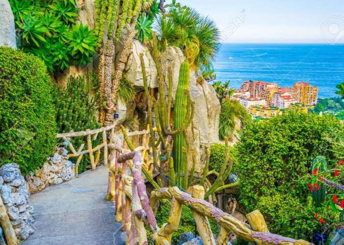 Khi du lịch Monaco, bạn nhất định phải ghé qua vườn thực vật Exotique bên mỏm đá đầy độc đáo