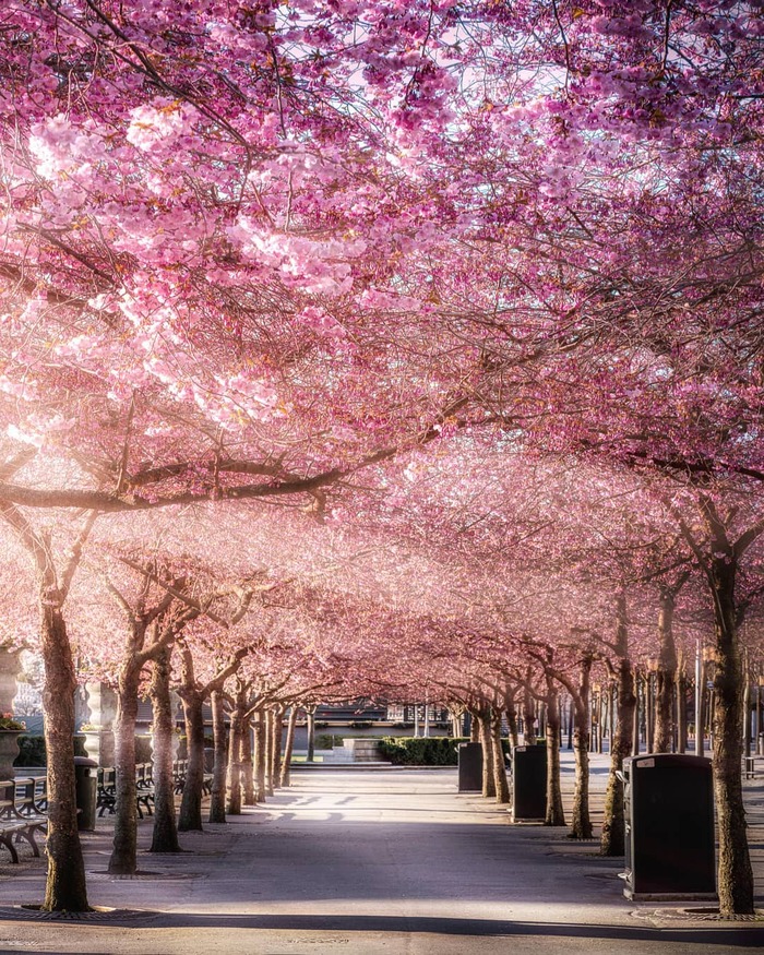 Du lịch Stockholm Thụy Điển tham quan công viên Kungsträdgården
