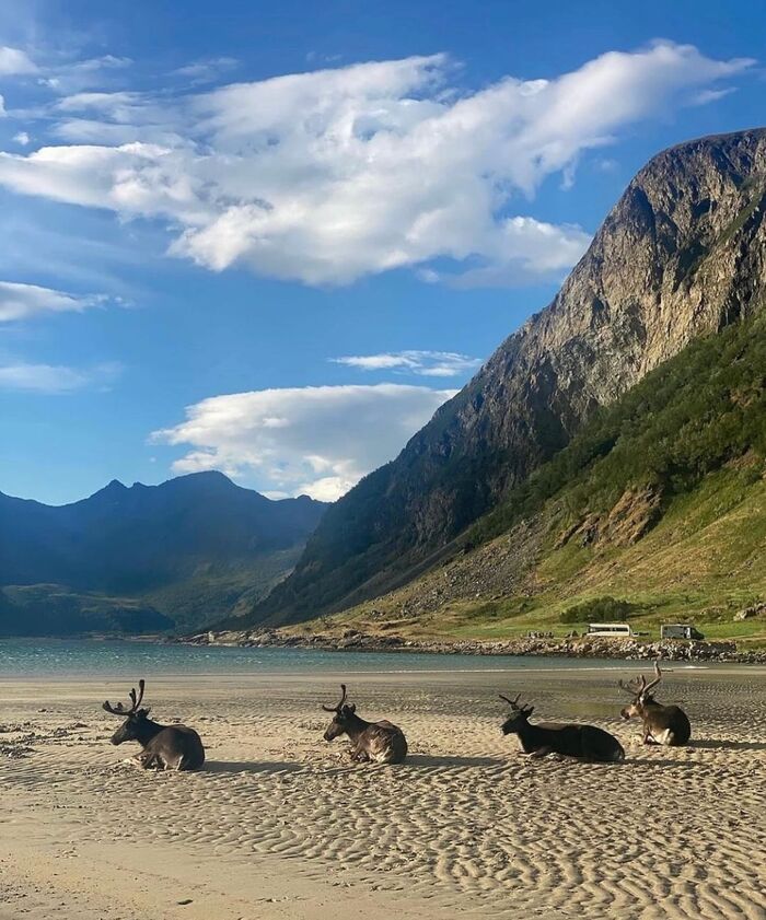 Du lịch Tromso Na Uy hấp dẫn du khách 