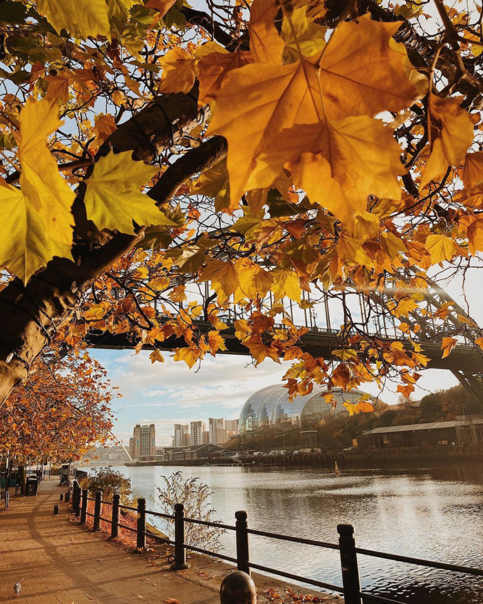 Khu chợ Grainger tại thành phố Newcastle Anh