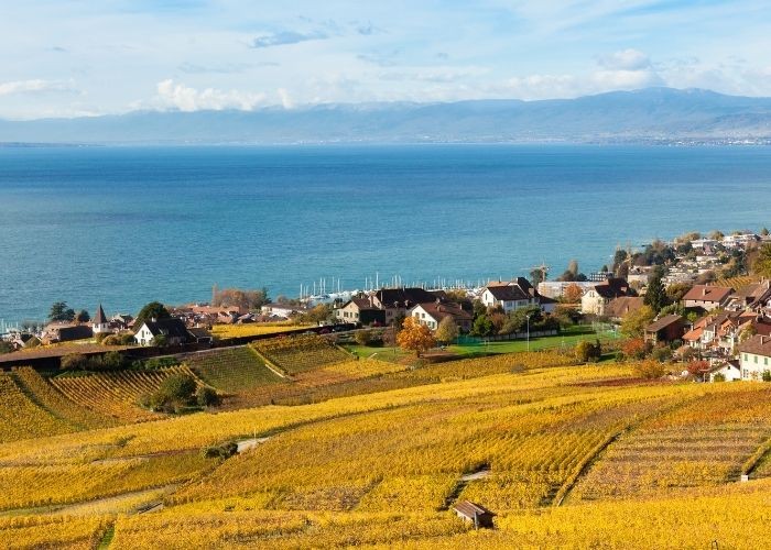 Địa điểm du lịch Thụy Sĩ mùa thu - Đồi nho Lavaux
