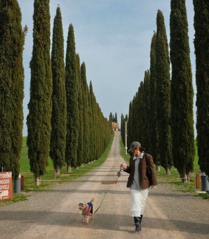 Địa điểm ngắm mùa thu châu Âu - Vùng Tuscany (Ý)