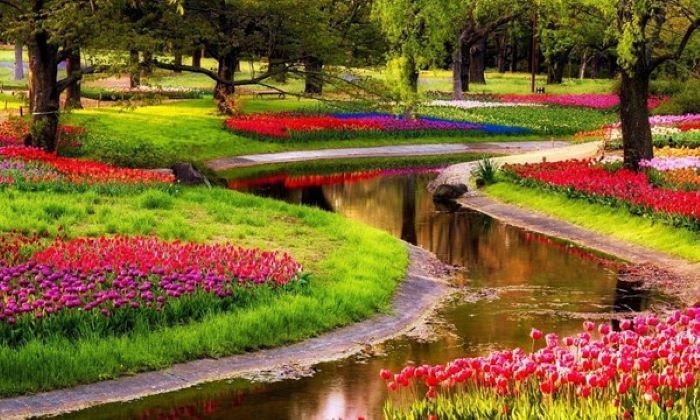 Cảnh sắc mùa xuân ở Châu Âu đẹp khiến ai cũng phải trầm trồ. - du lịch Châu Âu mùa nào đẹp nhất