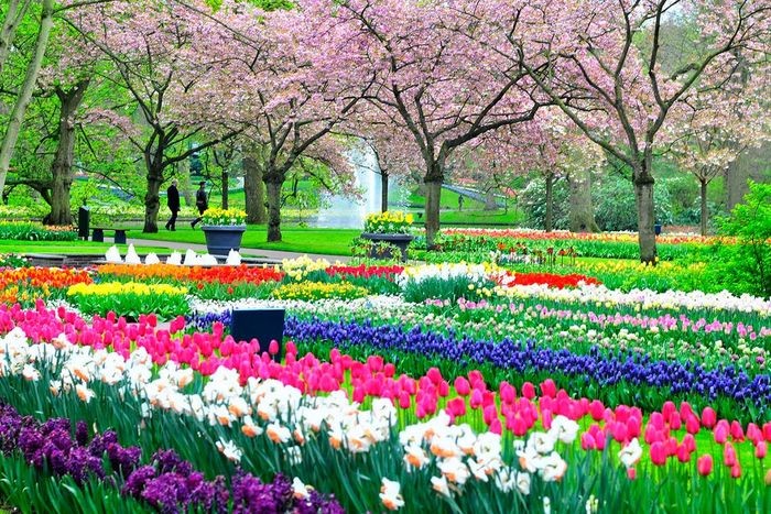 Cảnh sắc mùa xuân ở Châu Âu rực rỡ, tươi tắn khiến ai cũng thích thú. - du lịch châu âu mùa xuân