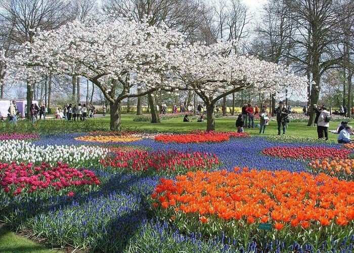 Vẻ đẹp quyến rũ của vườn hoa Keukenhof. - địa điểm du lịch Hà Lan