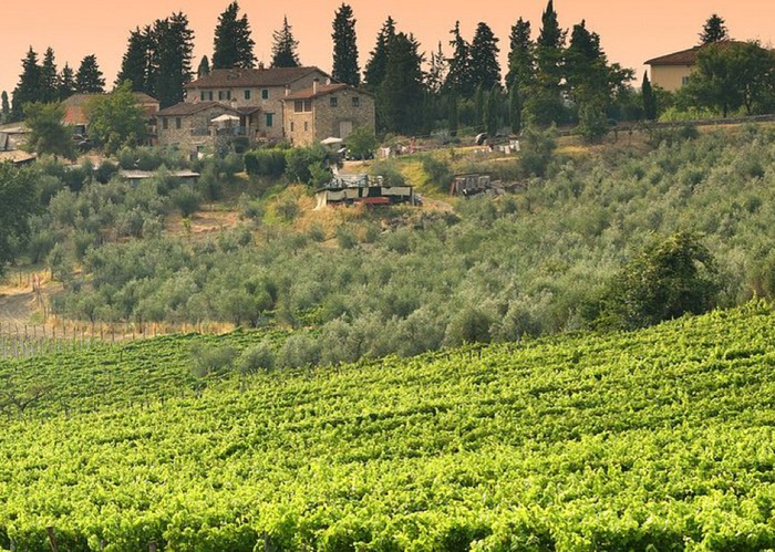 Tại thành phố Bordeaux có rất nhiều hoạt động giải trí thú vị - Du lịch châu Âu tháng 6