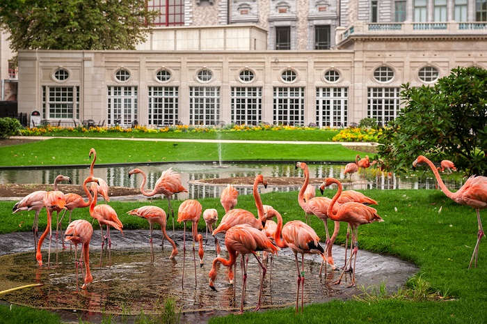 Sở thú Antwerp là một trong những điểm đến hấp dẫn nhất mà bạn không thể bỏ qua khi du lịch Antwerp Bỉ