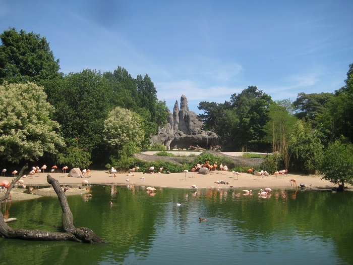 Công viên Tierpark Hagenbeck là một trong những điểm đến hấp dẫn nhất mà bạn không thể bỏ qua khi du lịch Hamburg