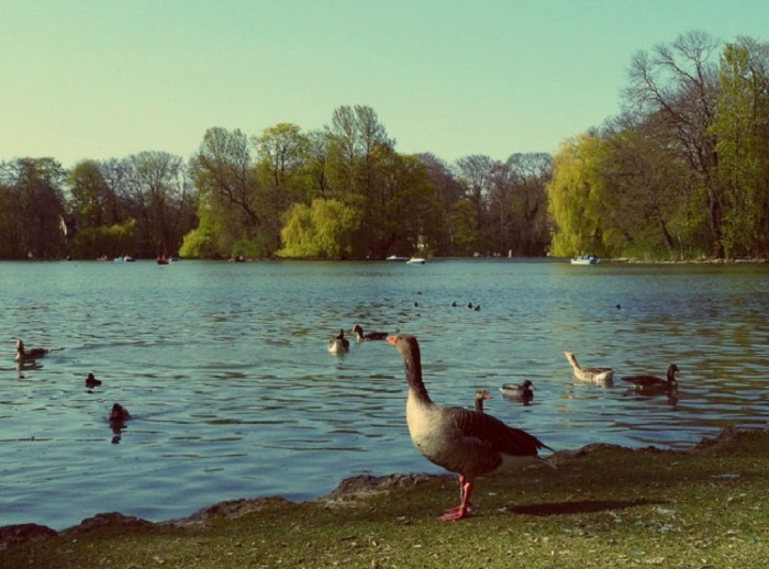 Englischer Garten địa điểm du lịch Munich bạn không thể bỏ qua