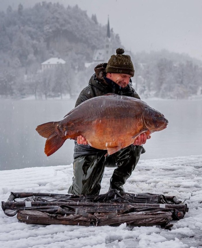 hồ Bled Slovenia mùa đông