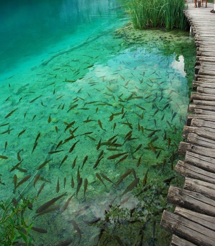 Du lịch công viên quốc gia hồ Plitvice Croatia- Nước hồ ở đây trong vắt