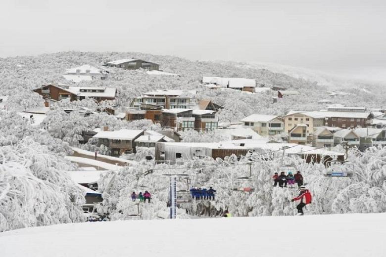 Núi tuyết Mount Buller